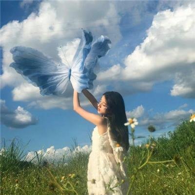 蝙蝠侠：侠影之谜